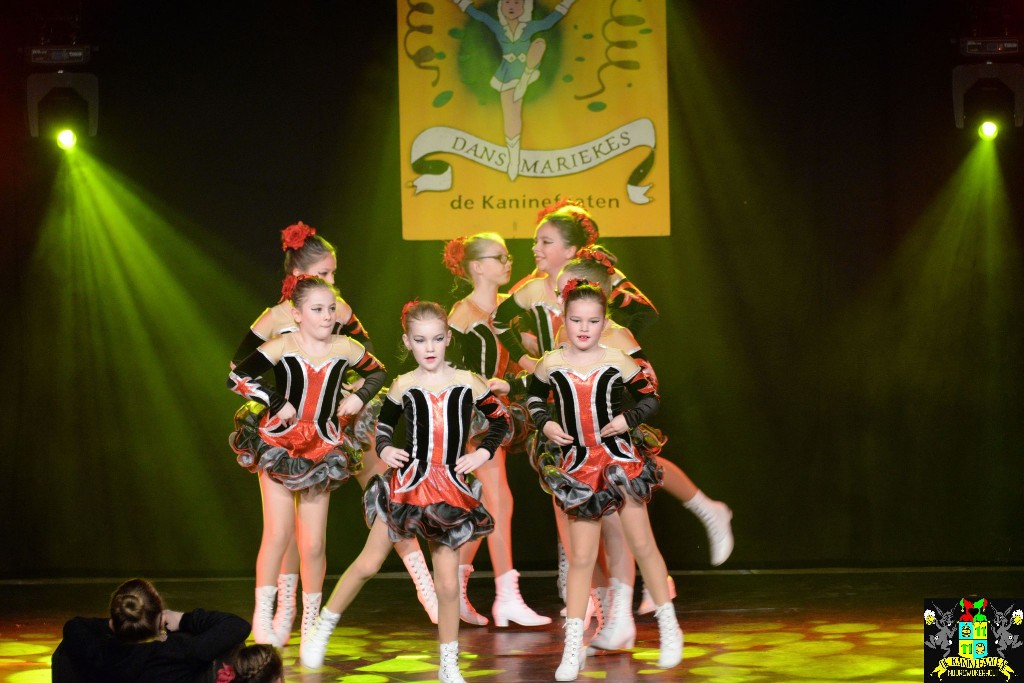 ../Images/Dansmariekefestival 2020 119.jpg